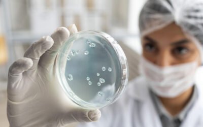 Diferencias entre auditoría interna y auditoría oficial de Legionella