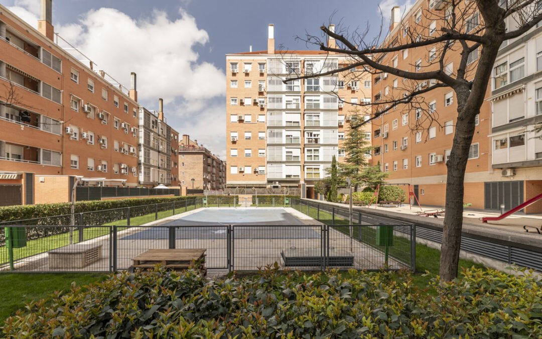 Qué hacer si encuentro chinches en mi comunidad de vecinos