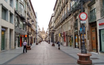 Termitas en casas antiguas de Zaragoza: qué hacer y cómo actuar