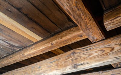 Carcoma en vigas de madera: riesgos y tratamiento en Zaragoza