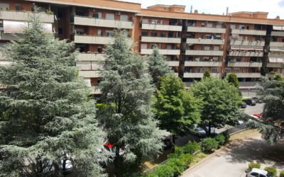 Contratos de mantenimiento: qué deben incluir