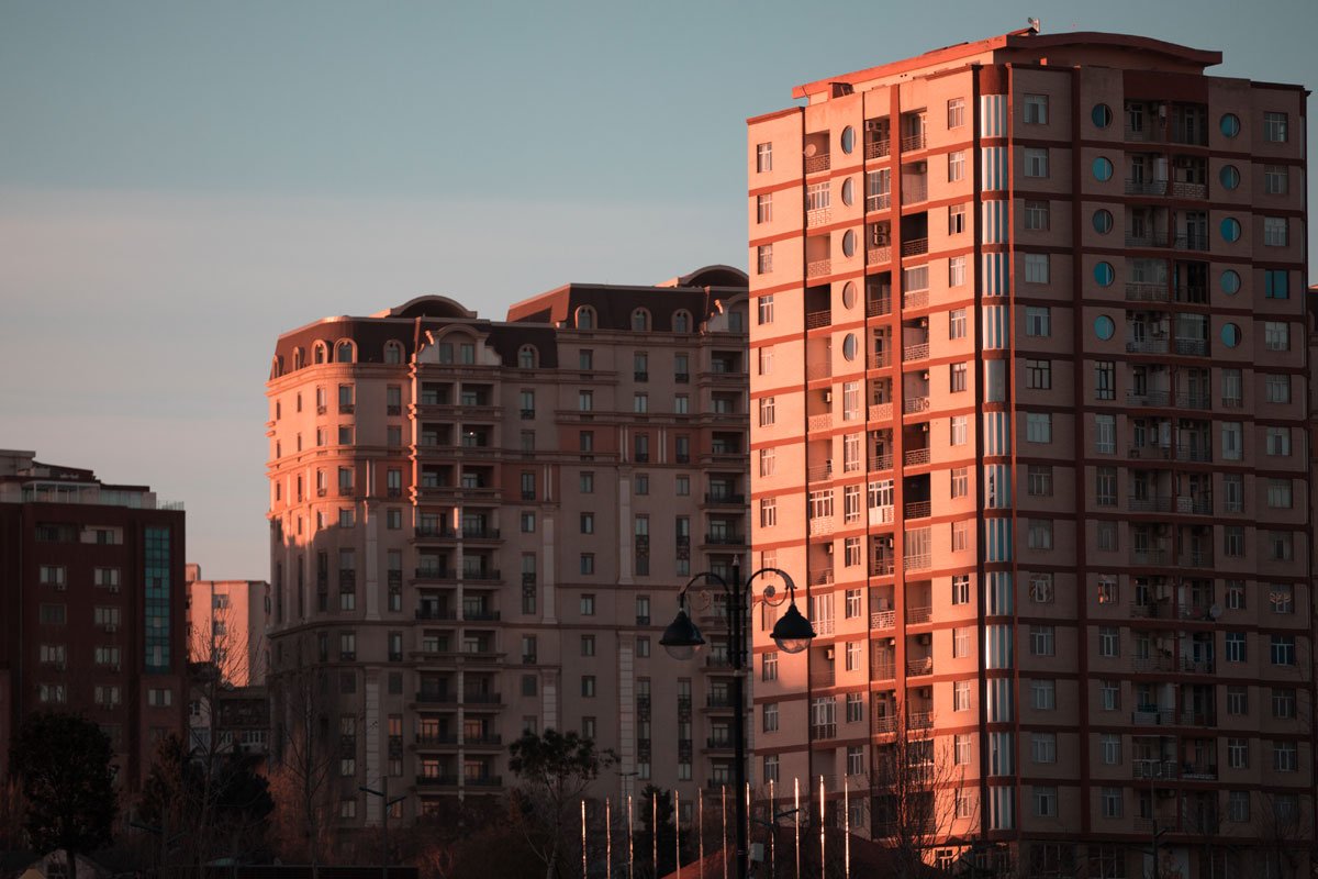 plagas-afectan-a-todo-el-edificio-1