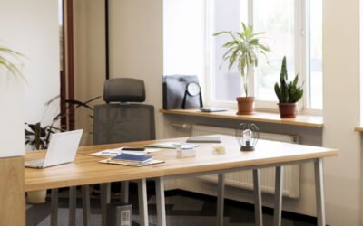 Control de plagas en oficinas y centros de trabajo