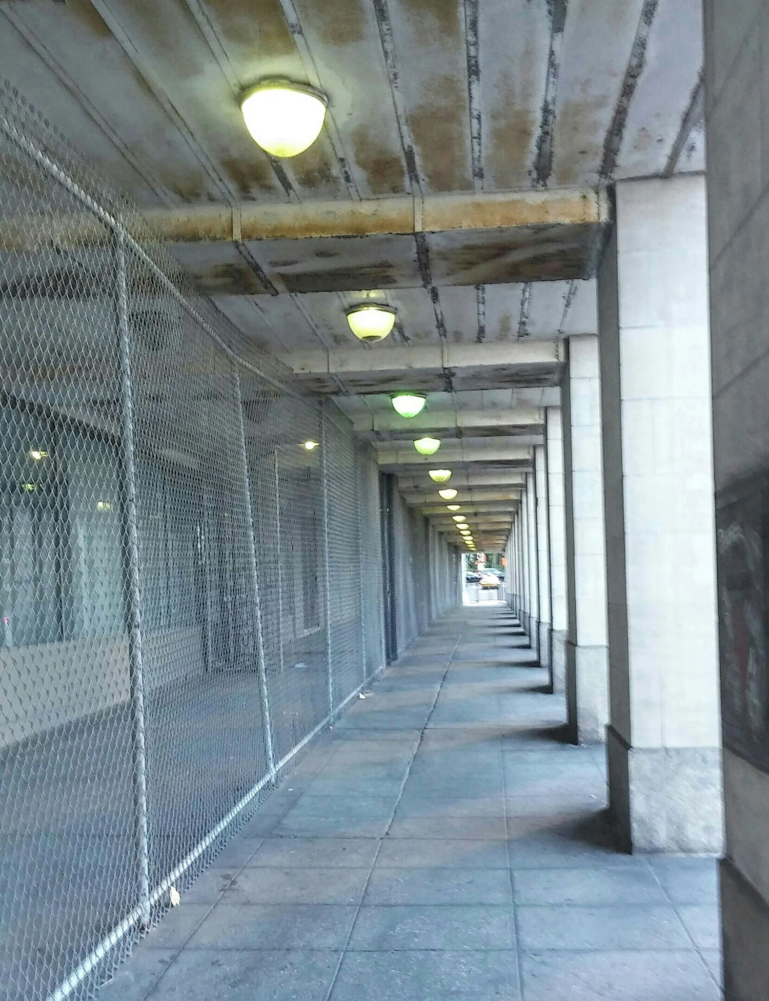 Control de plagas en centros penitenciarios y cuarteles militares en Zaragoza